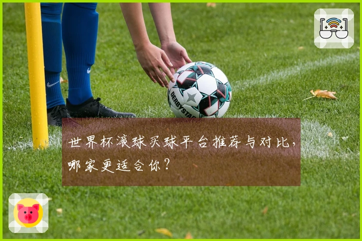 世界杯滚球买球平台推荐与对比，哪家更适合你？