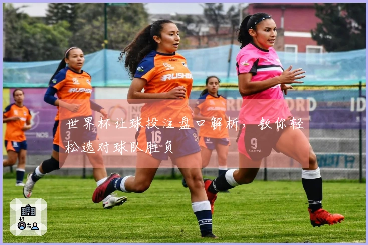 世界杯让球投注盘口解析，教你轻松选对球队胜负