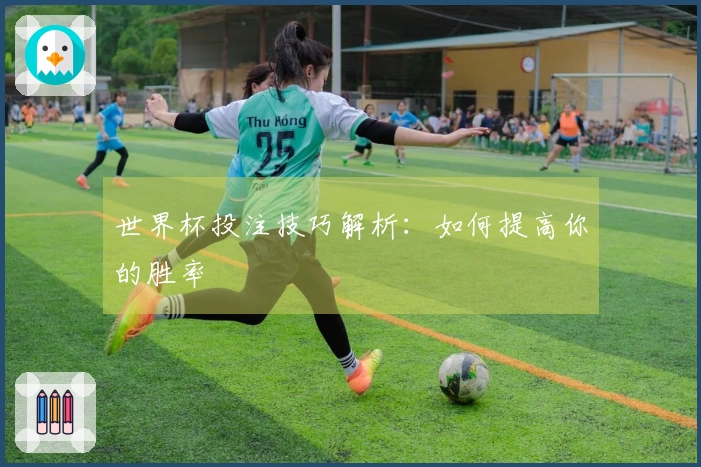 世界杯投注技巧解析：如何提高你的胜率