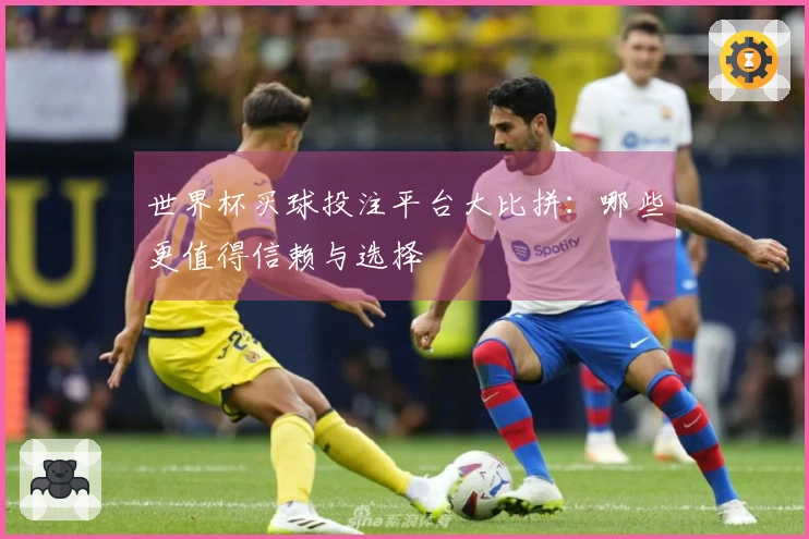 世界杯买球投注平台大比拼：哪些更值得信赖与选择