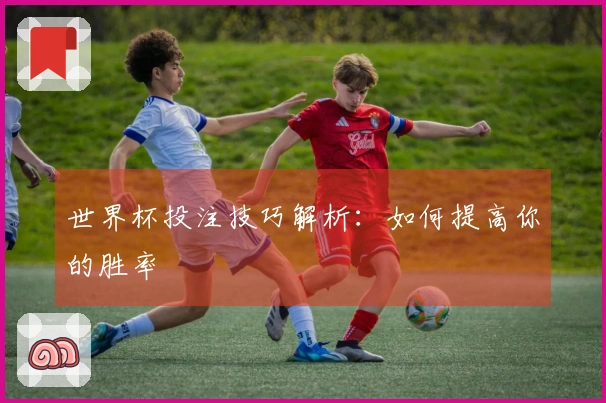 世界杯投注技巧解析：如何提高你的胜率